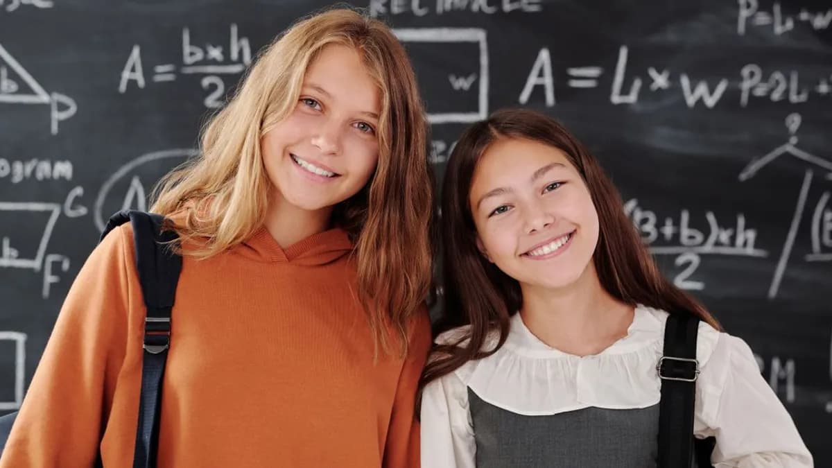 Etapele scrierii explicate simplu pentru clasele 5-8