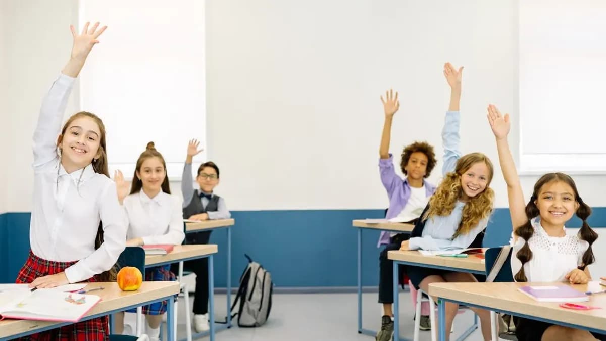 Silaba pe înțelesul tău — explicație simplă pentru clasele 5-8